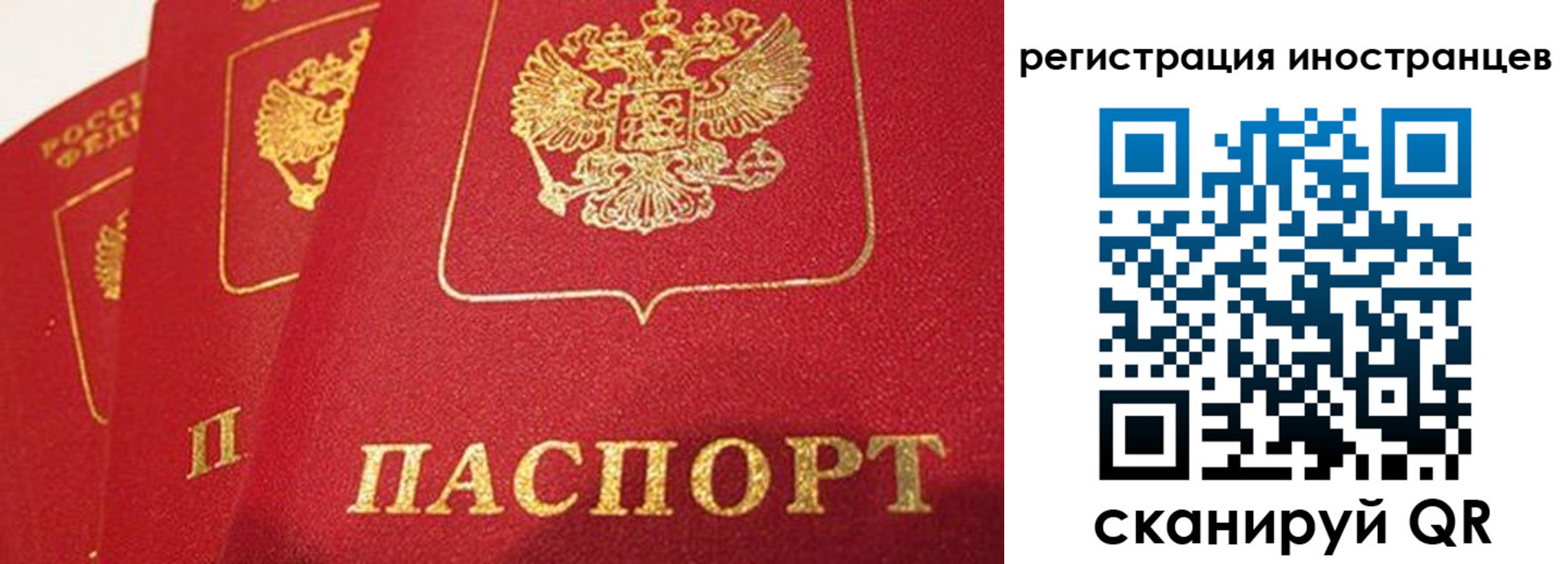 временная прописка в Большом Камне